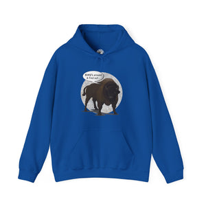 Bison Around and Find Out Hooded Sweatshirt