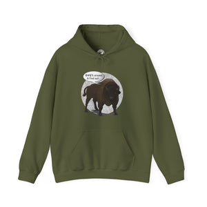 Bison Around and Find Out Hooded Sweatshirt