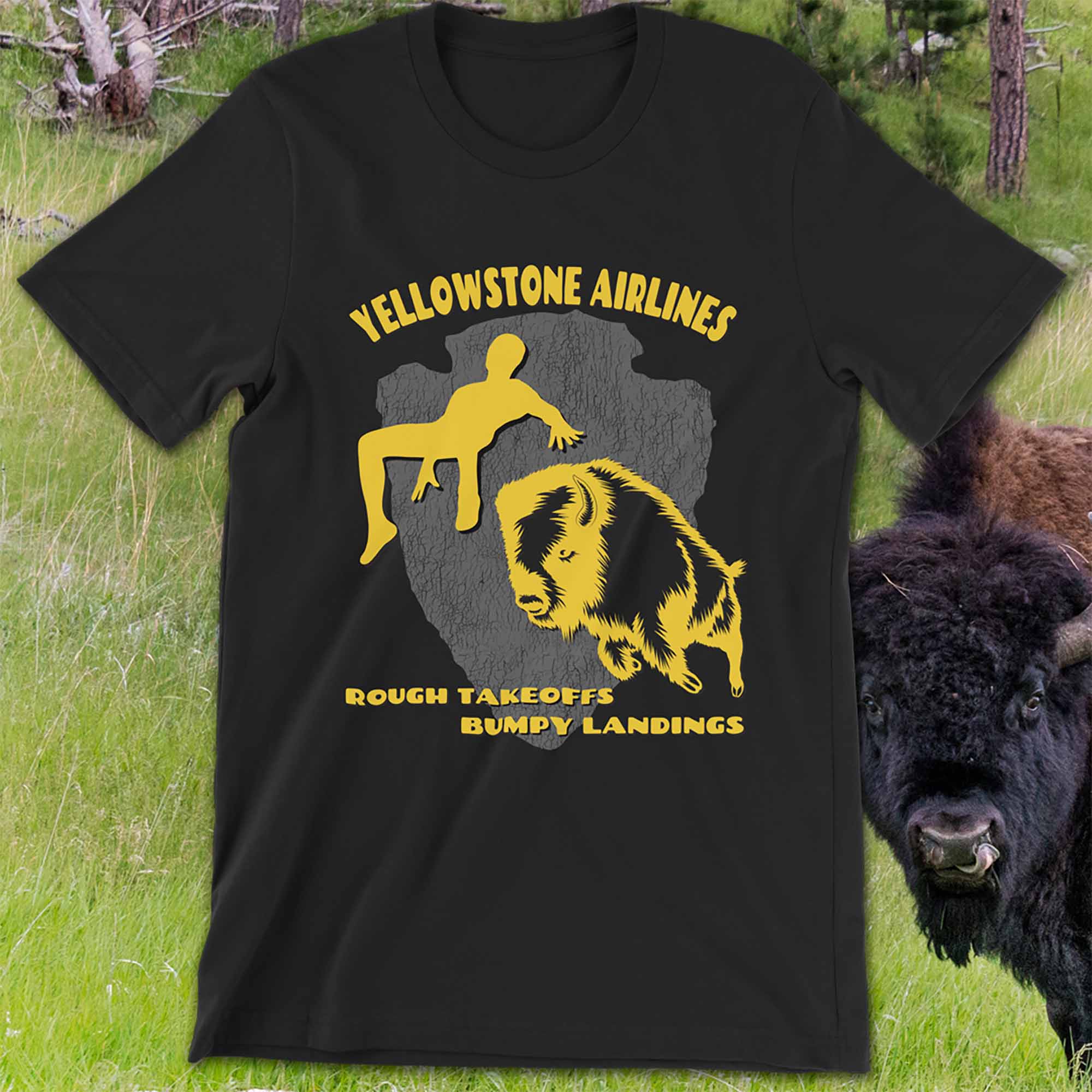 Yellowstone Airlines