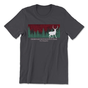Crawford Notch State Park T-Shirt T-Shirt Printify 